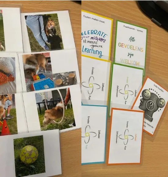 Oefenkaarten met foto's van Viggo en het pijlerlogo