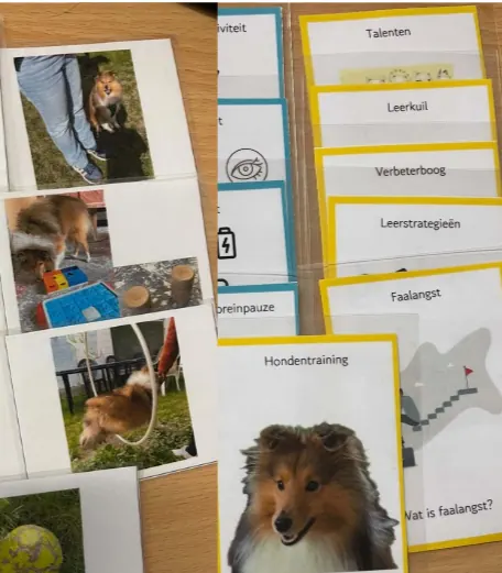 Kaarten over hondentraining, faalangst en leerstrategieën